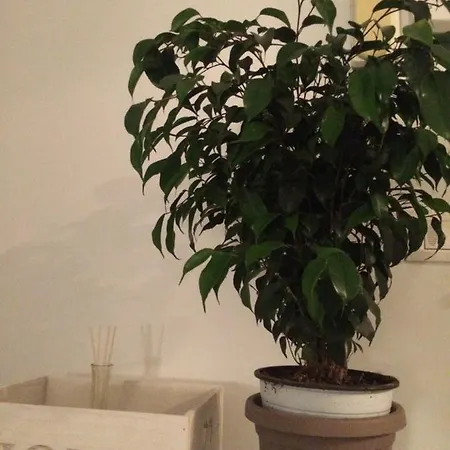 Mycityhome Molfetta